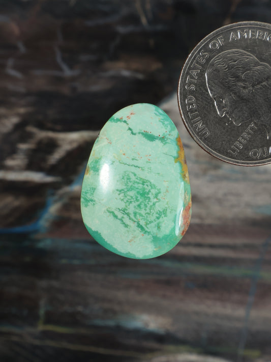 Turquoise cabochon gemstone with teardrop shape and light green veining