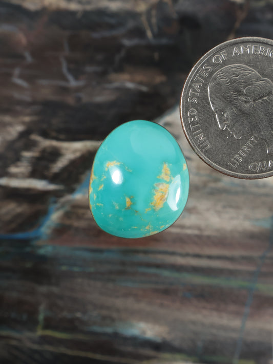 Turquoise cabochon gemstone, oval with gold-toned matrix speckles