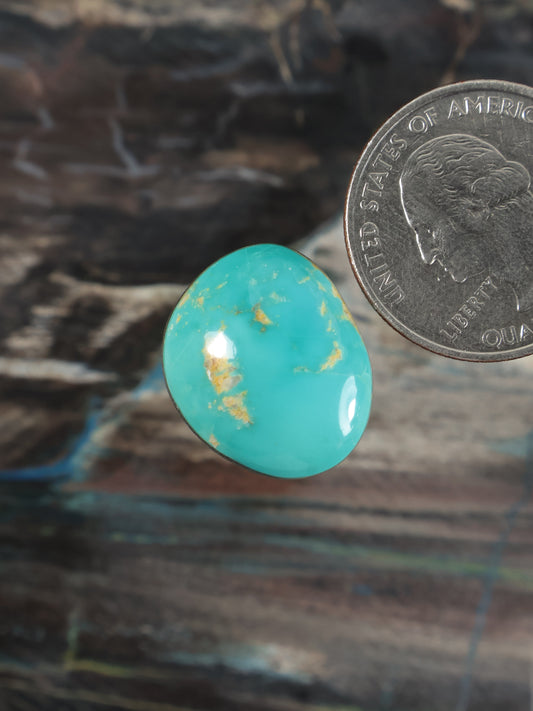 Turquoise oval cabochon gemstone with scattered golden matrix veins