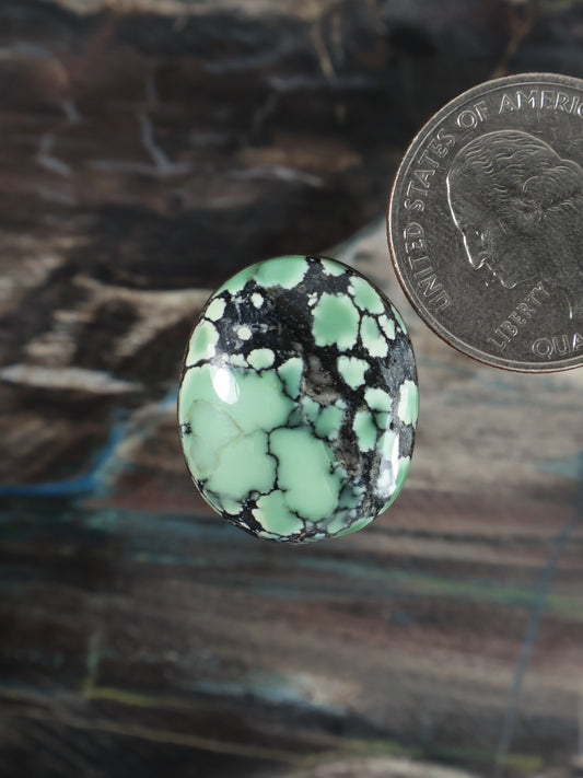 Oval turquoise cabochon gemstone with black matrix webbing
