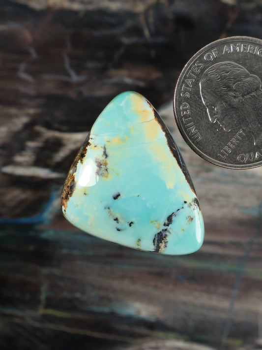 Turquoise triangular cabochon gemstone with gold-brown matrix veining