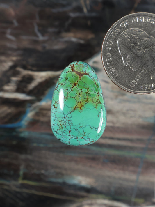 Turquoise oval cabochon gemstone with web-like matrix pattern