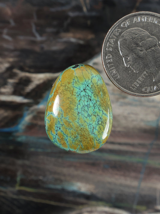Polished turquoise cabochon with yellow-green veining, teardrop shape