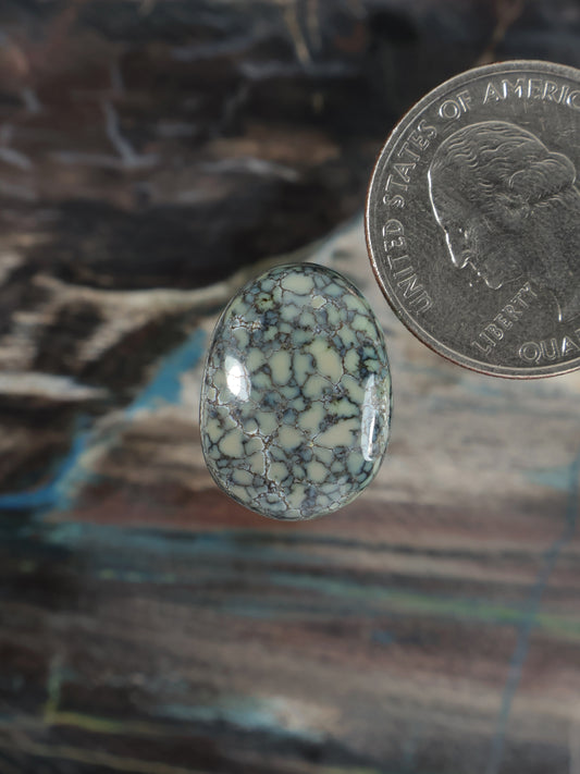 Poseidon variscite cabochon, oval blue stone with webbed veining pattern