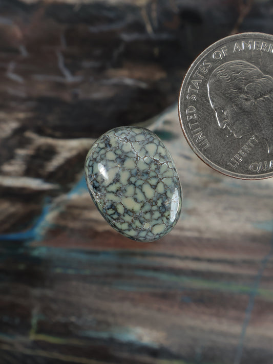 Poseidon variscite cabochon, centered oval blue stone with cracked web veining