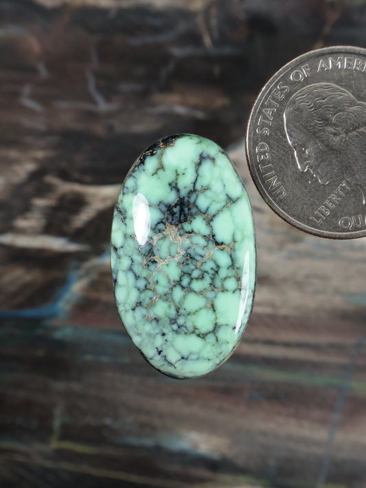 Teal variscite cabochon gemstone with black veining, oval cut