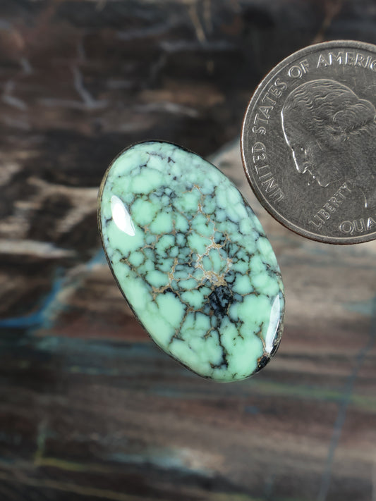 Teal variscite cabochon gemstone, oval with intricate dark matrix network