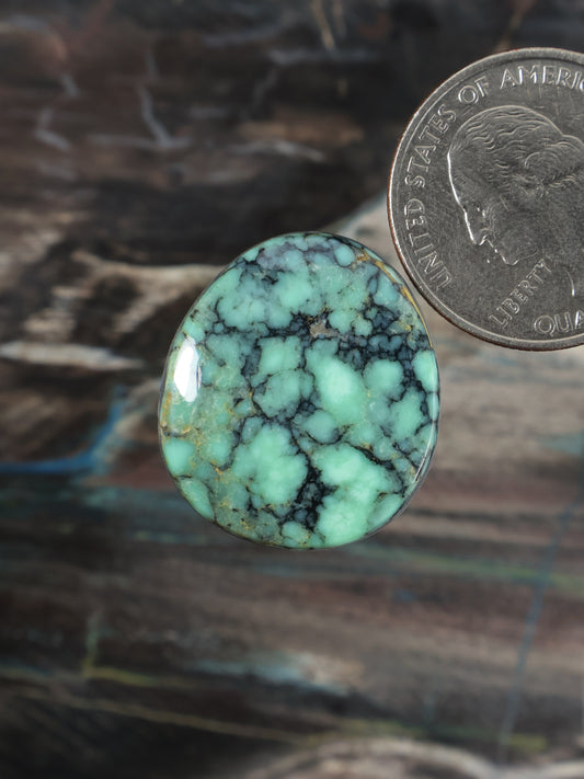 Oval turquoise variscite cabochon, polished stone with dark web pattern