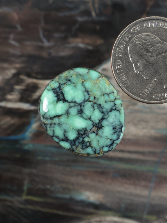 Oval turquoise variscite cabochon, bright green stone with black veining
