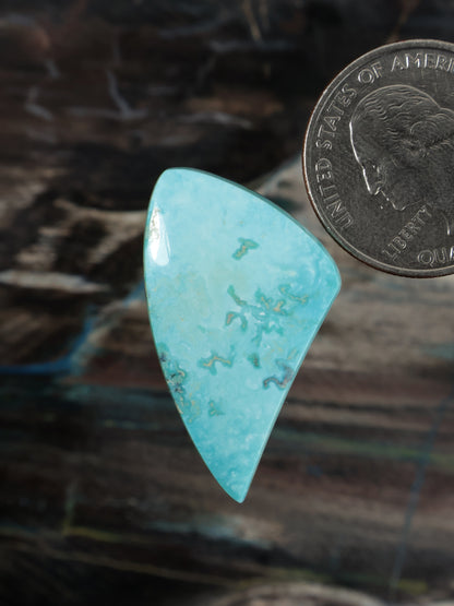 Turquoise cabochon stone, teardrop-triangle shape, bright aqua with natural speckles