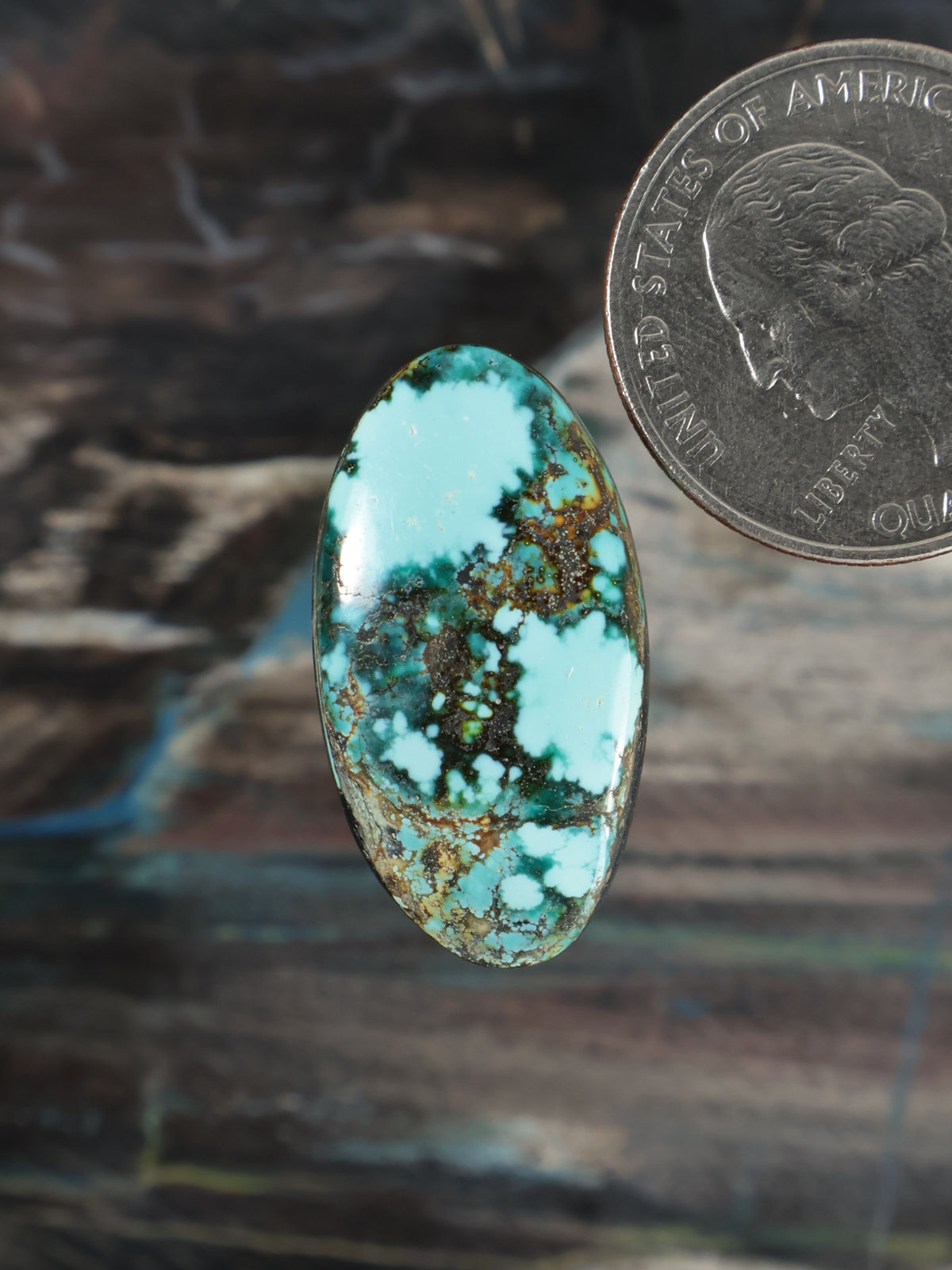 Oval turquoise gemstone cabochon with dark brown matrix webbing, bezel-free