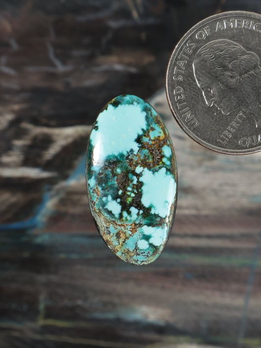 Oval turquoise gemstone cabochon with dark brown matrix webbing, bezel-free
