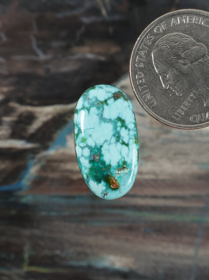 Oval turquoise cabochon with brown matrix inclusions