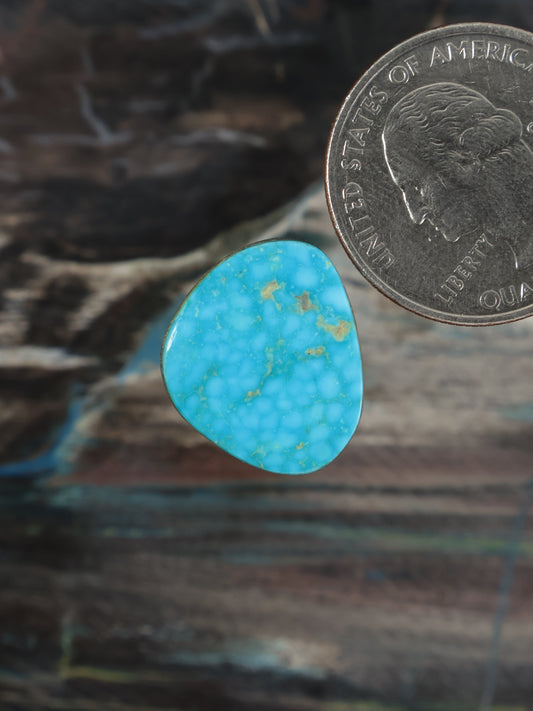 Oval turquoise gemstone cabochon with yellow veining