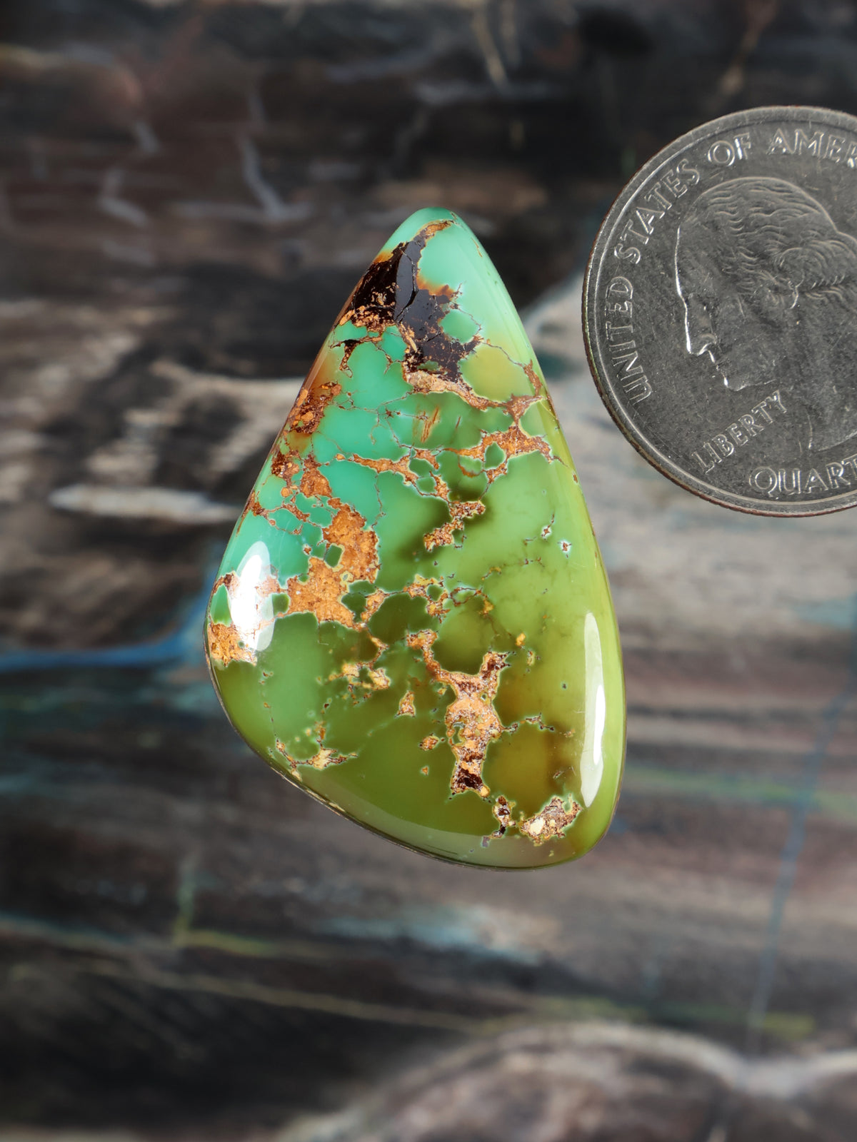 Royston Montezuma Turquoise Cabochon B134