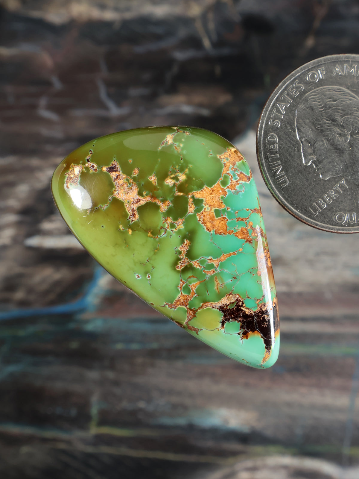 Royston Montezuma Turquoise Cabochon B134