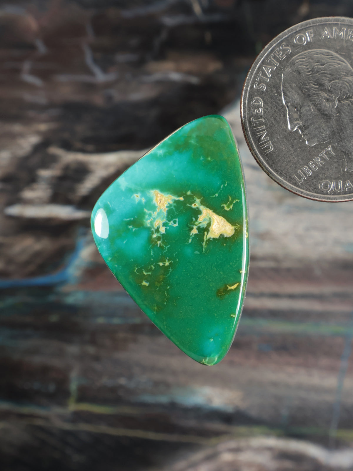Royston Montezuma Turquoise Cabochon B138