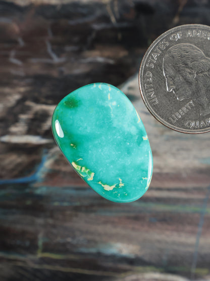 Teal turquoise oval cabochon with marbled white streaks, glossy polished finish