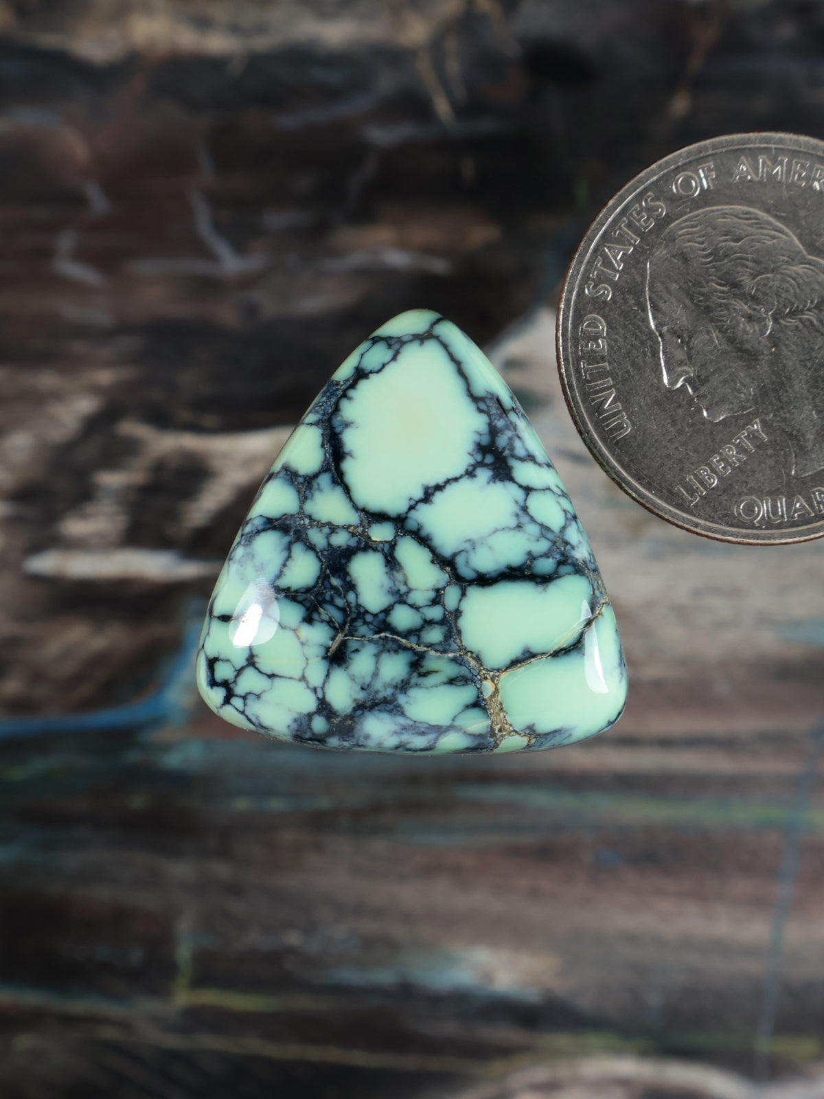 Turquoise Prince variscite cabochon with black web matrix, triangular shape.