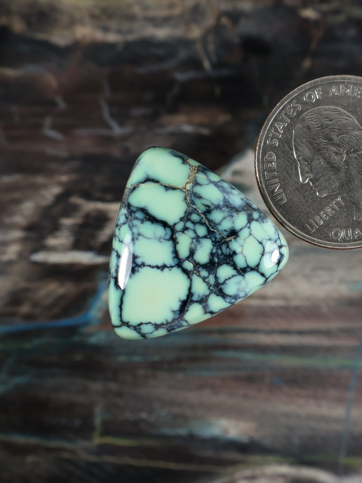 Turquoise Prince variscite cabochon with black net pattern, rounded triangle angle view.