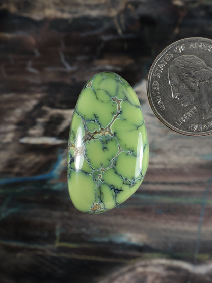Prince variscite cabochon, oval green gemstone with blue veining and polished dome