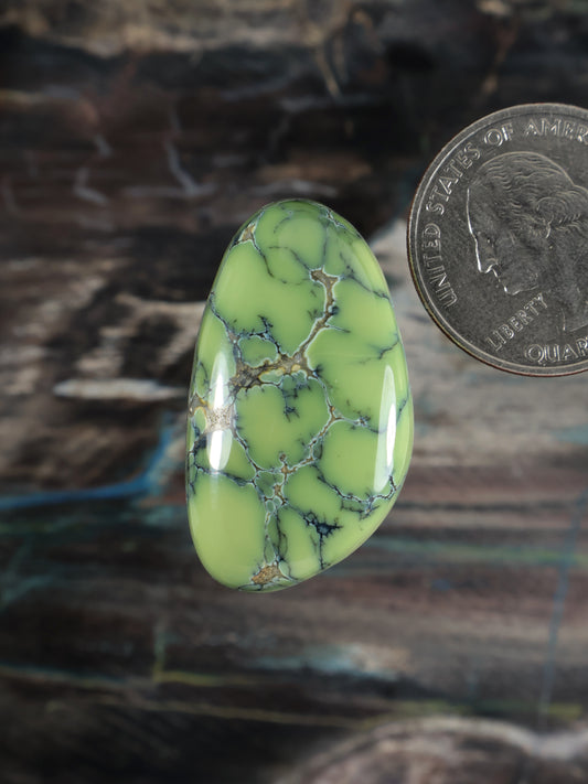 Prince variscite cabochon, oval green gemstone with blue veining and polished dome