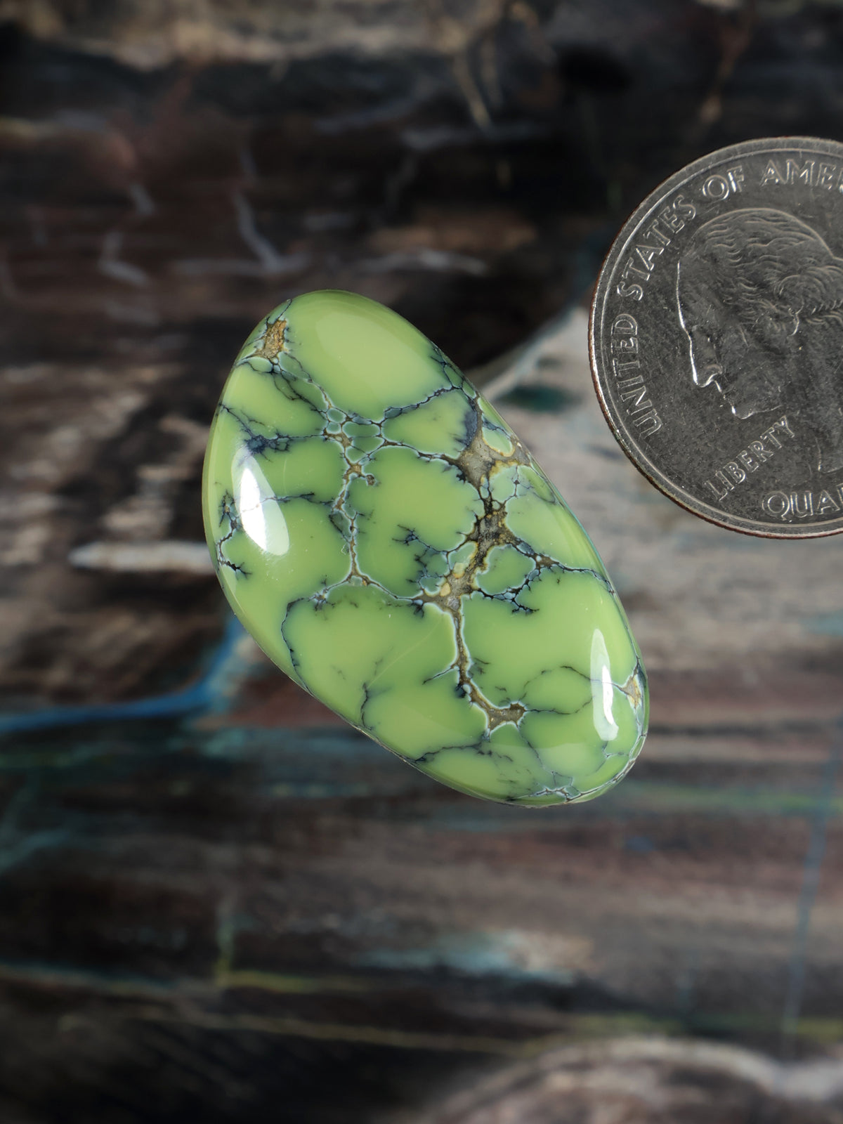 Prince variscite cabochon, tilted oval green stone with web-like blue veins, glossy