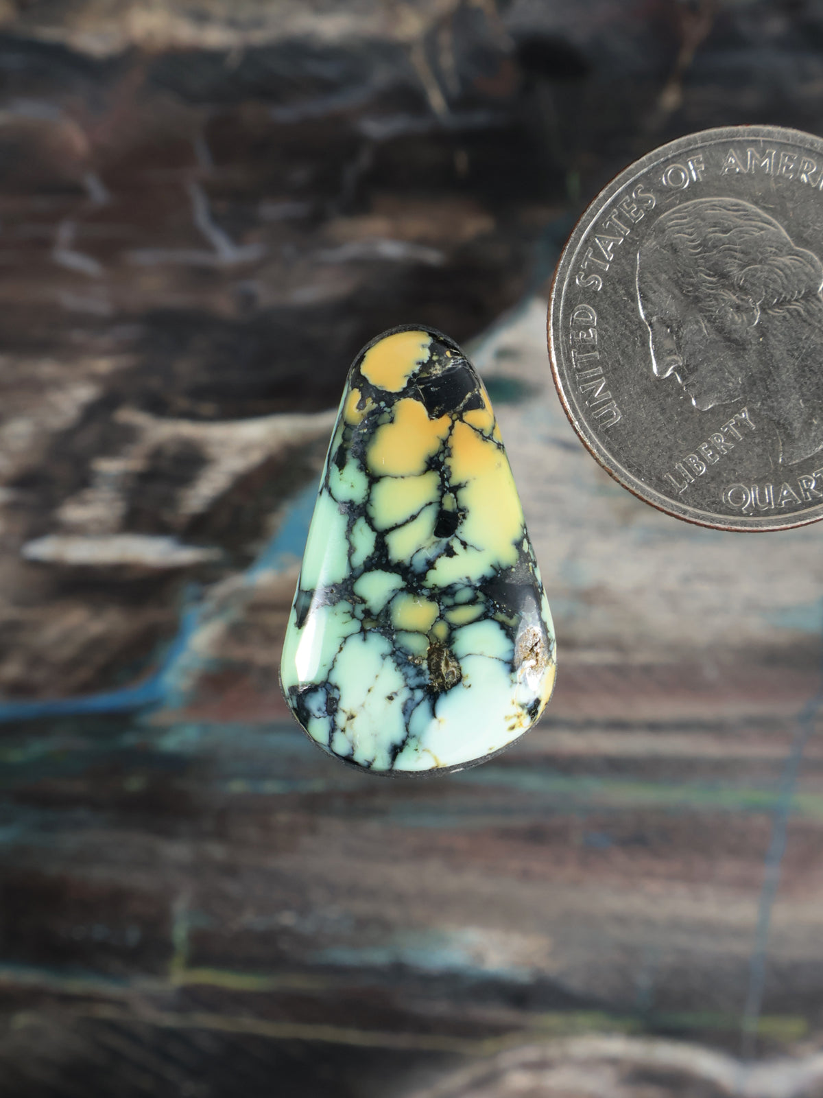 Teardrop variscite cabochon gemstone with green body and black web matrix pattern