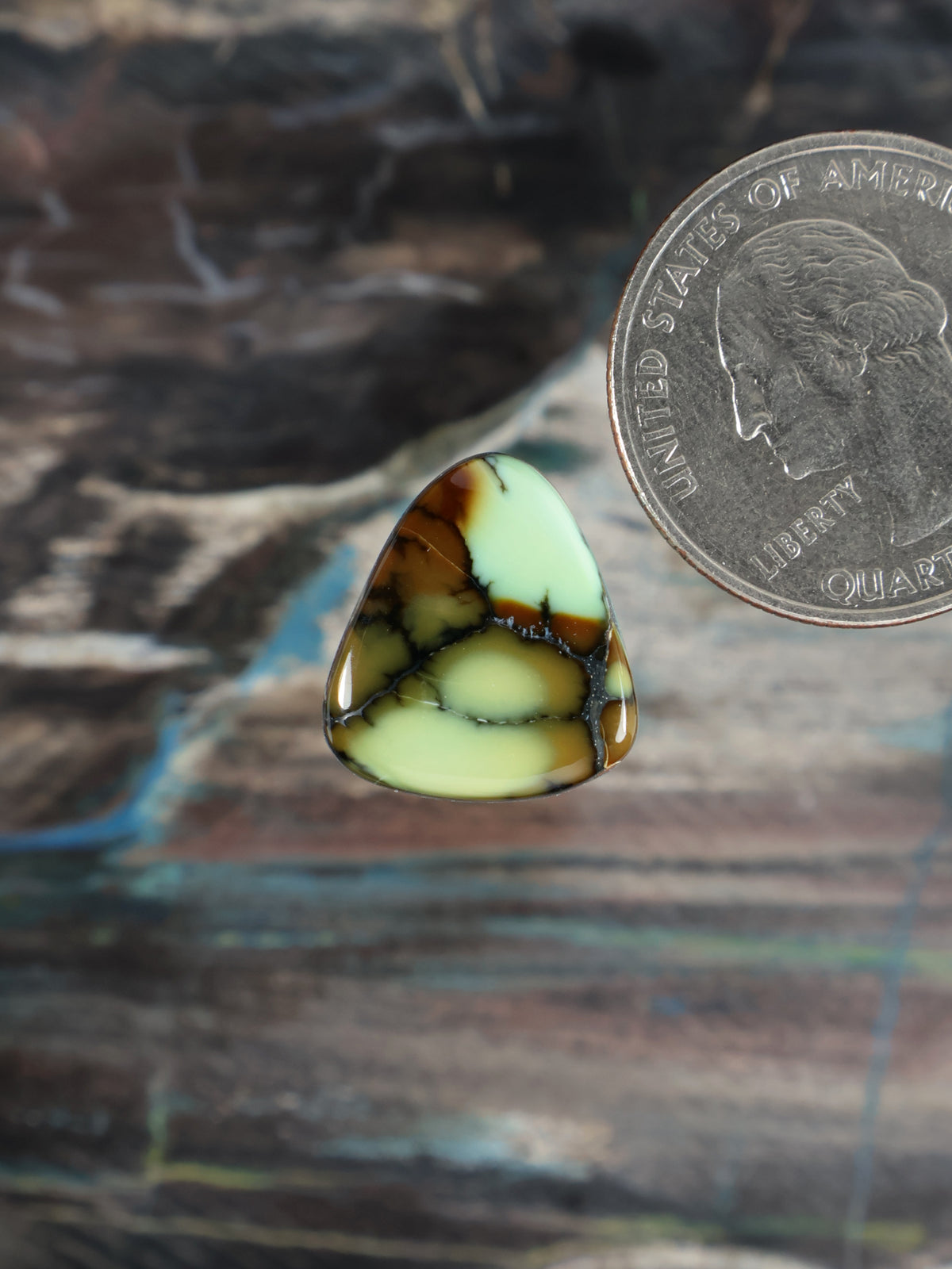 Prince Variscite cabochon gemstone, oval with pale green body and dark brown webbing