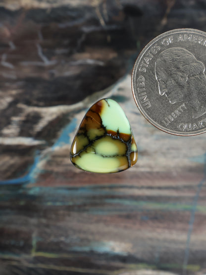 Prince Variscite cabochon gemstone, oval with pale green body and dark brown webbing