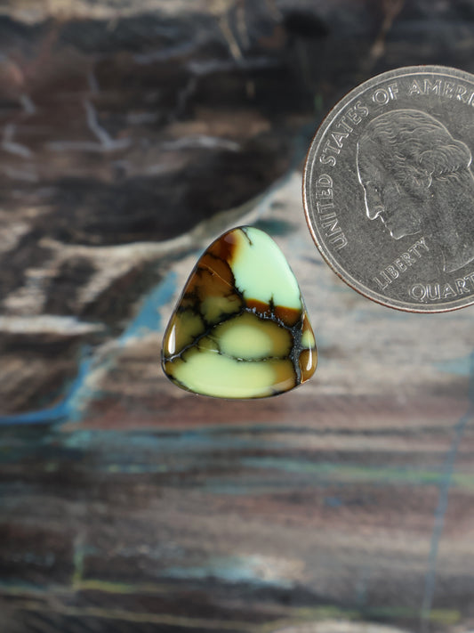 Prince Variscite cabochon gemstone, oval with pale green body and dark brown webbing