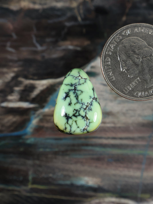 Prince Variscite teardrop cabochon, bright green with black matrix veining