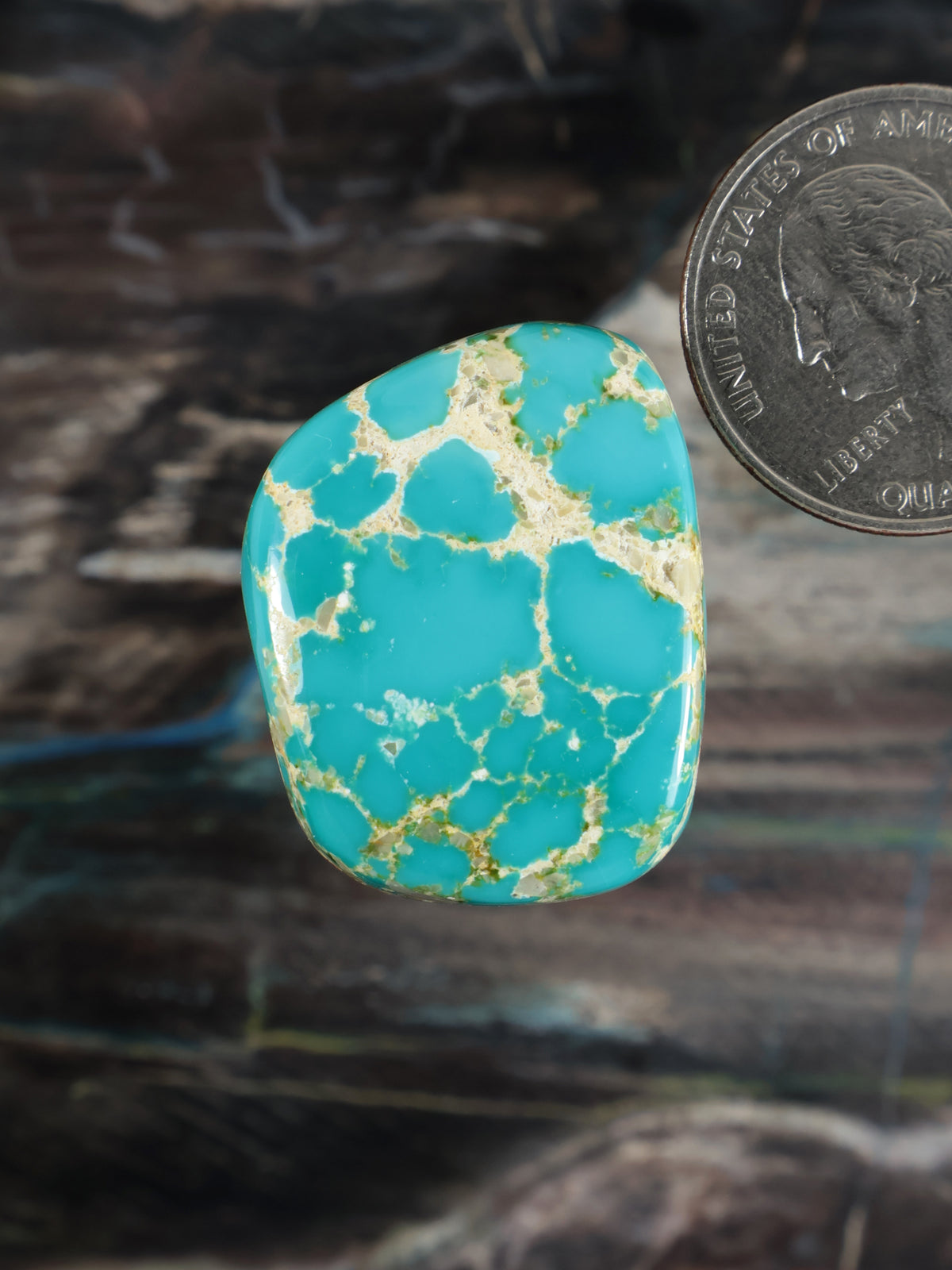 Royston Montezuma Turquoise Cabochon B135