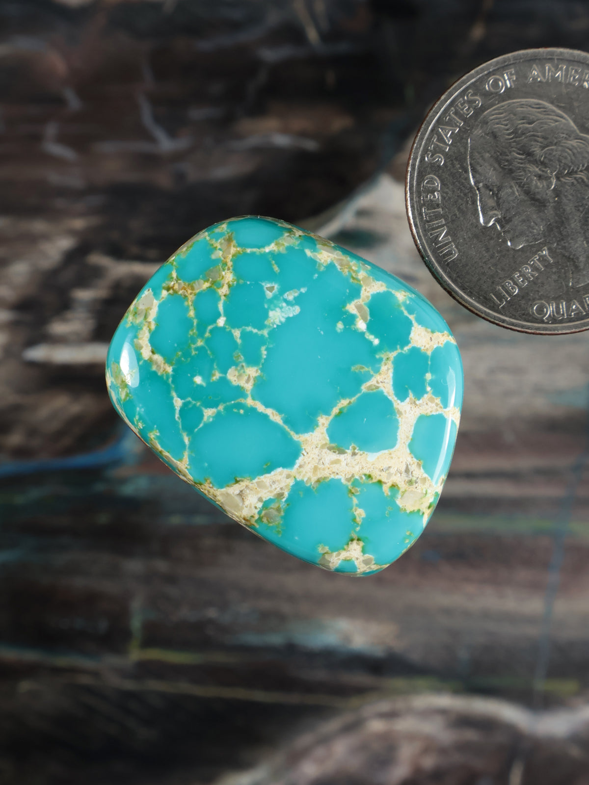 Royston Montezuma Turquoise Cabochon B135