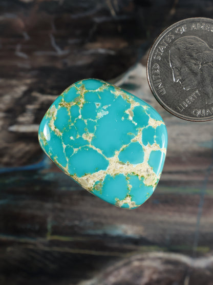 Royston Montezuma Turquoise Cabochon B135