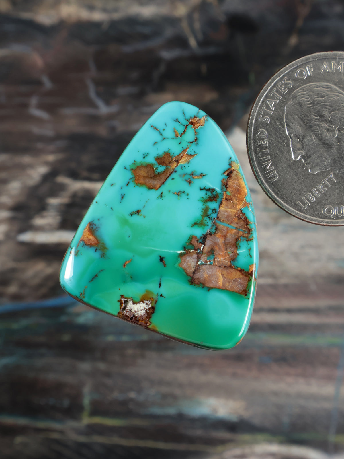 Royston Montezuma Turquoise Cabochon B137