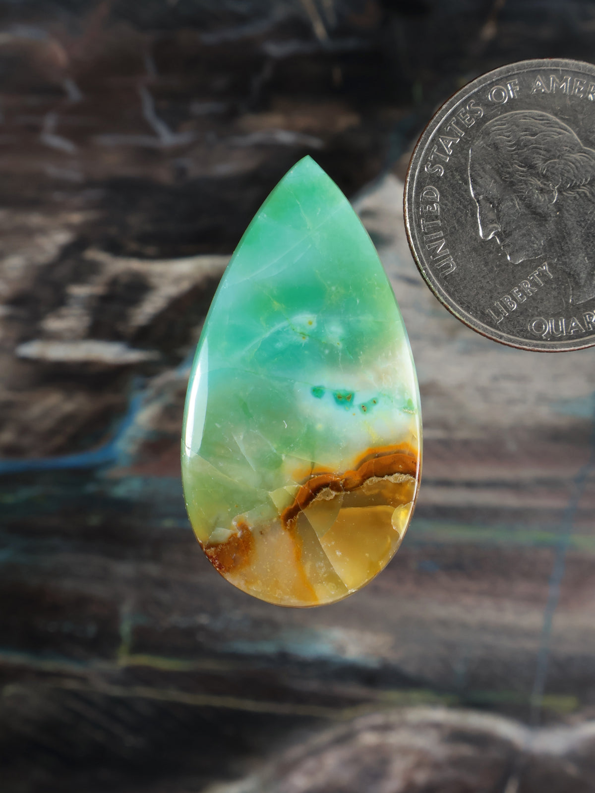 Opalized petrified wood teardrop cabochon, green with amber band