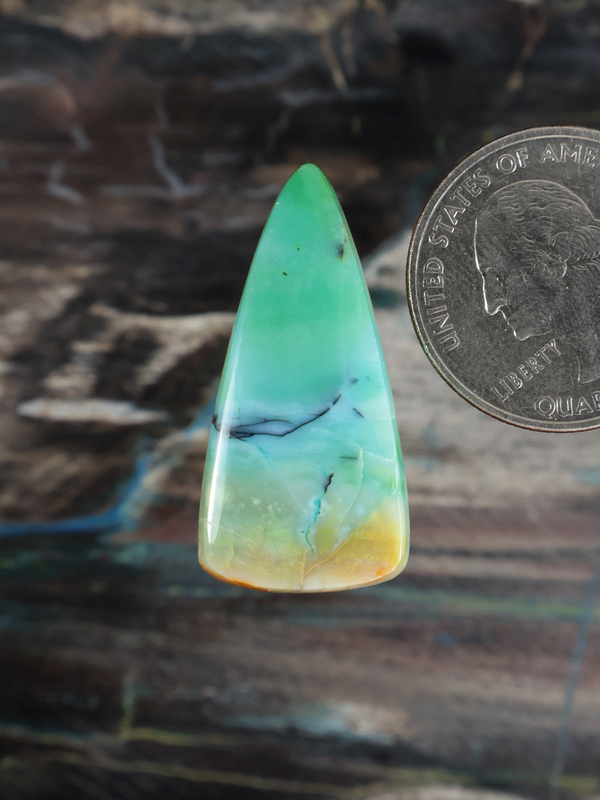 Teardrop cabochon in green and blue opalized petrified wood with golden banding