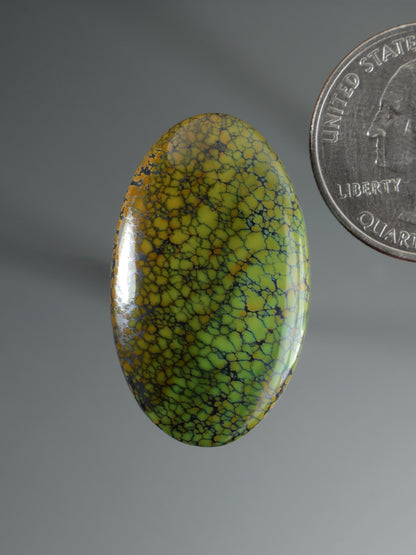 Dragonskin Turquoise Cabochon B158