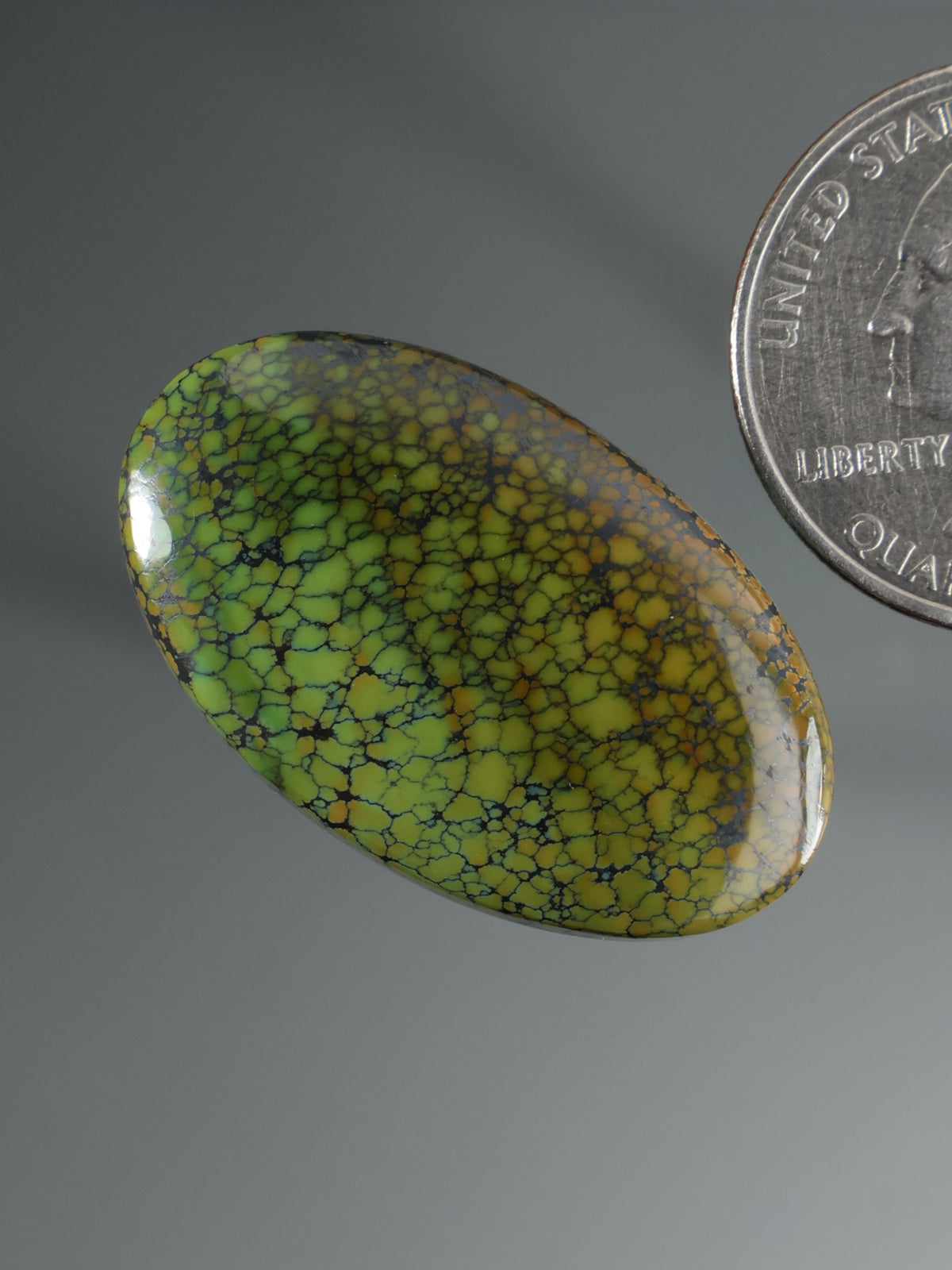 Dragonskin Turquoise Cabochon B158