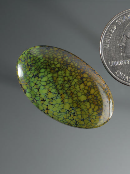 Dragonskin Turquoise Cabochon B158