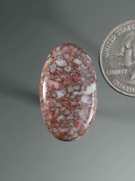 Dinosaur gembone cabochon, oval red-brown patterned stone with polished dome