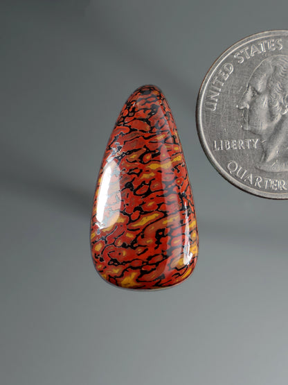 Dinosaur gembone cabochon, teardrop red-orange with dark black mottled pattern