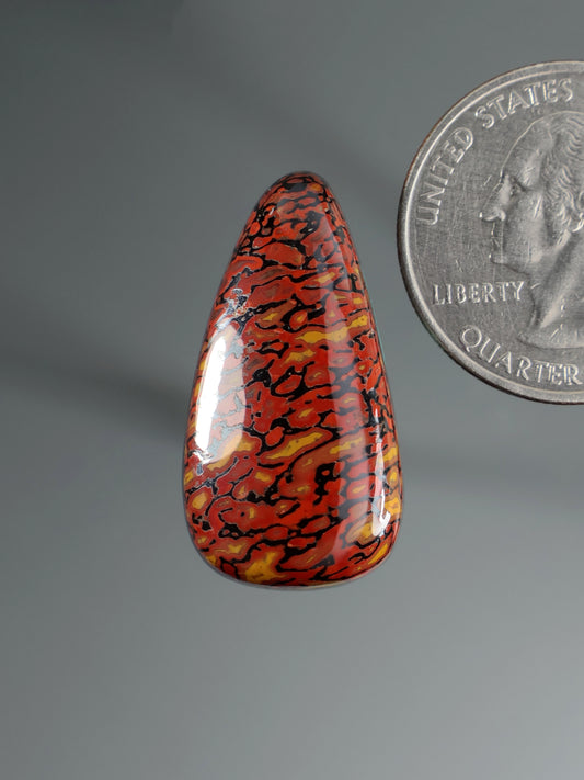 Dinosaur gembone cabochon, teardrop red-orange with dark black mottled pattern