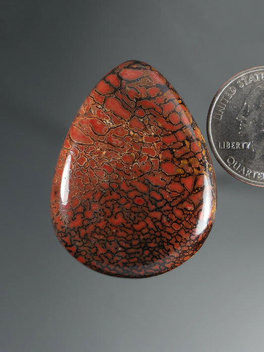 Dinosaur gembone cabochon, teardrop-shaped red-orange stone with dark cracked pattern