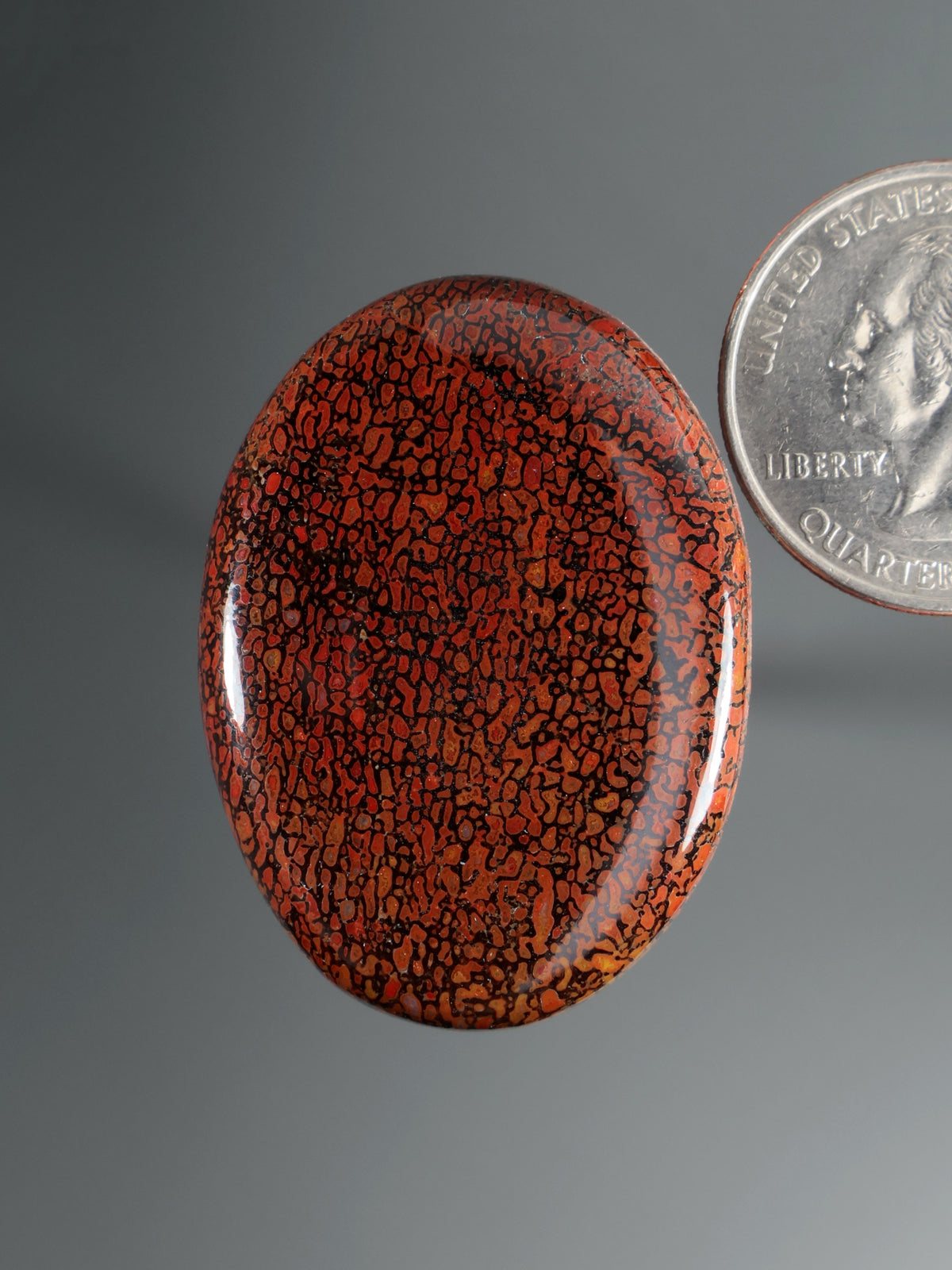 Dinosaur Gembone Cabochon B203