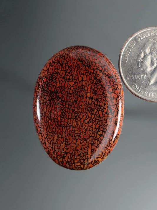 Dinosaur gembone cabochon, oval orange-red with dark cracked pattern