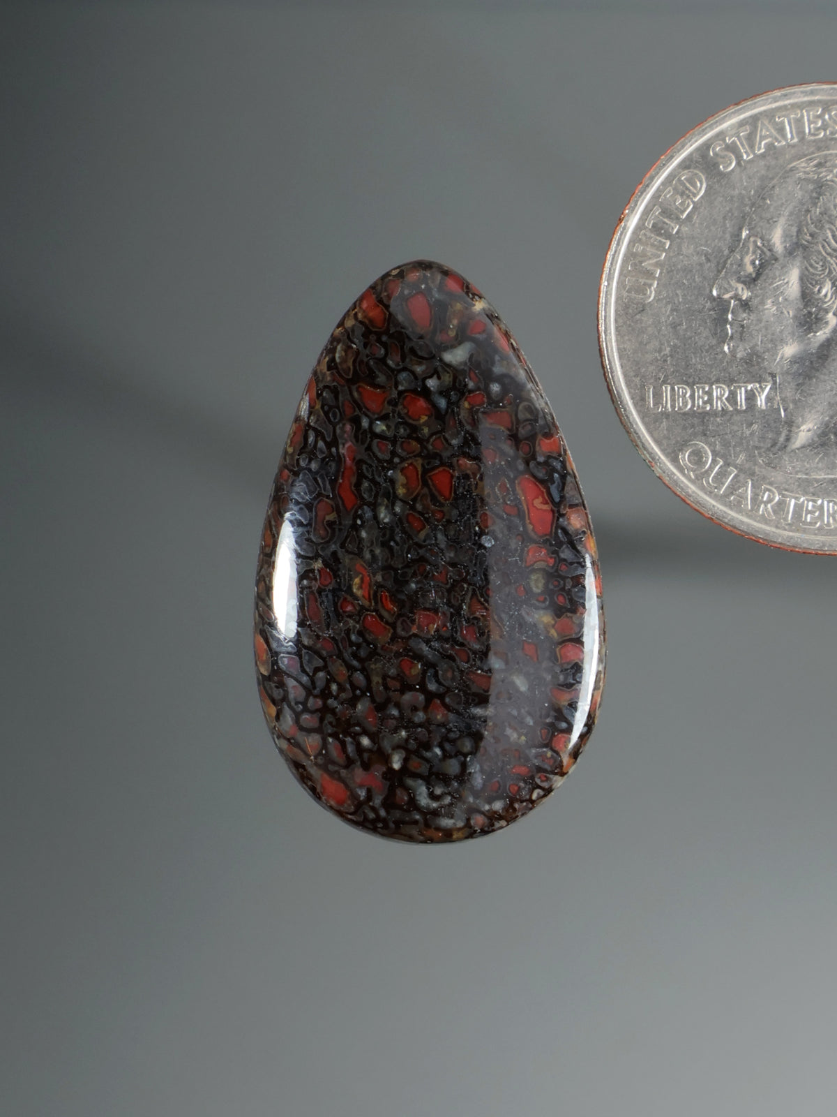 Dinosaur Gembone Heart Cabochon B205