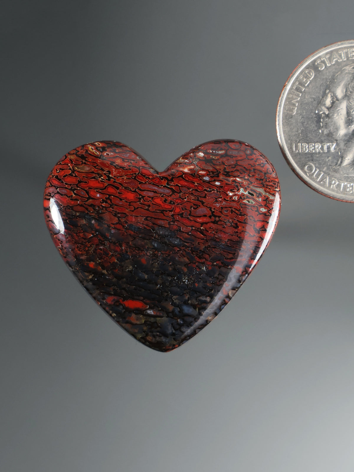 Dinosaur Gembone Heart Cabochon B204
