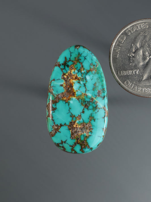 Turquoise oval cabochon gemstone with brown matrix